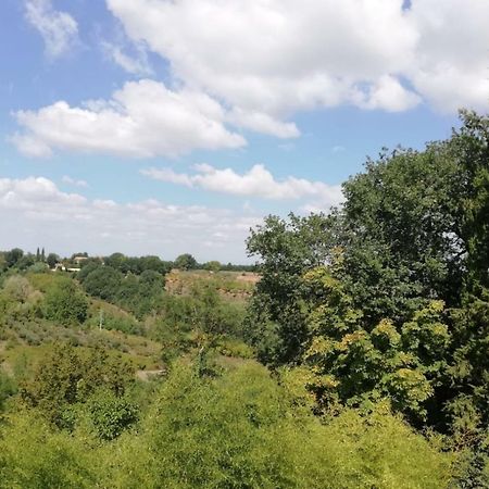 شقة Nel Chianti Lungo La Francigena كولّي فال ديلسا المظهر الخارجي الصورة