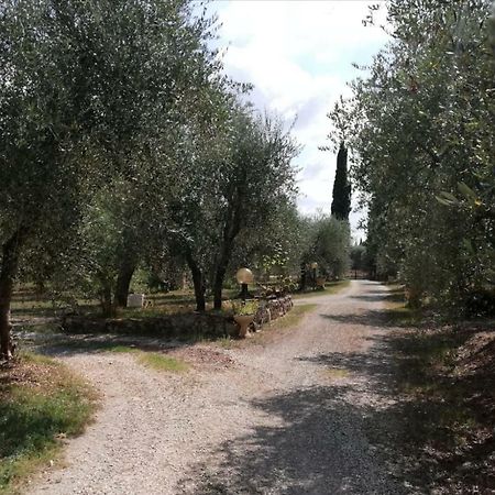 شقة Nel Chianti Lungo La Francigena كولّي فال ديلسا المظهر الخارجي الصورة