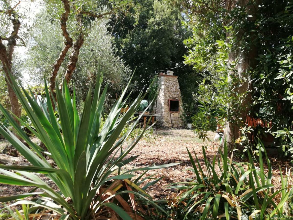 شقة Nel Chianti Lungo La Francigena كولّي فال ديلسا المظهر الخارجي الصورة