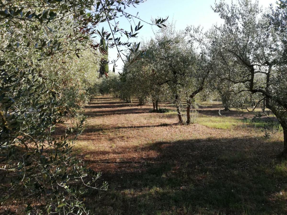 شقة Nel Chianti Lungo La Francigena كولّي فال ديلسا المظهر الخارجي الصورة