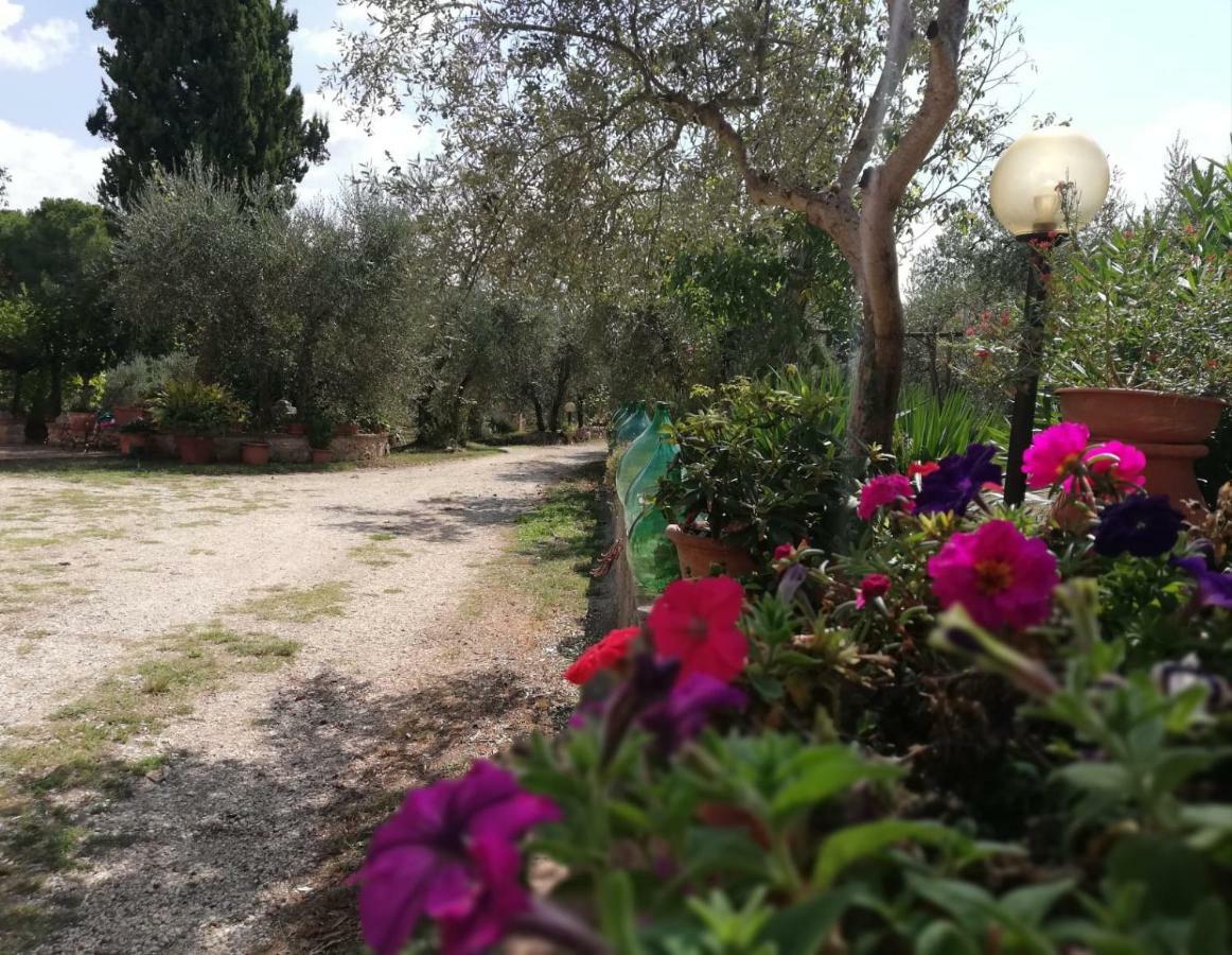 شقة Nel Chianti Lungo La Francigena كولّي فال ديلسا المظهر الخارجي الصورة