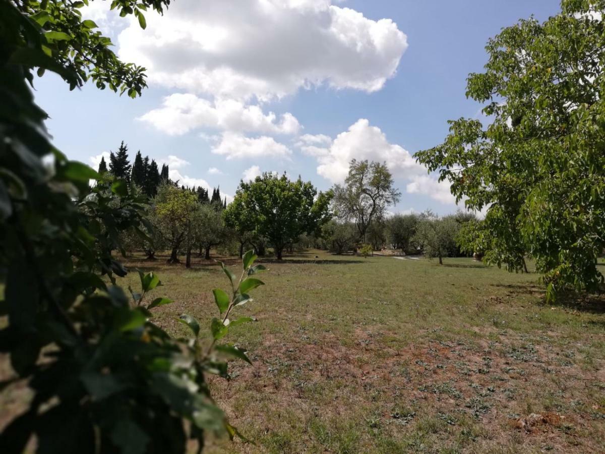 شقة Nel Chianti Lungo La Francigena كولّي فال ديلسا المظهر الخارجي الصورة