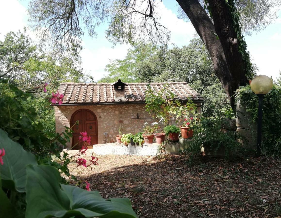 شقة Nel Chianti Lungo La Francigena كولّي فال ديلسا المظهر الخارجي الصورة