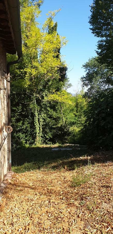 شقة Nel Chianti Lungo La Francigena كولّي فال ديلسا المظهر الخارجي الصورة